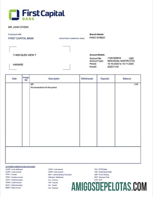 em branco Zâmbia Primeiro Extrato de Conta Bancária de Capital Modelo Word e PDF